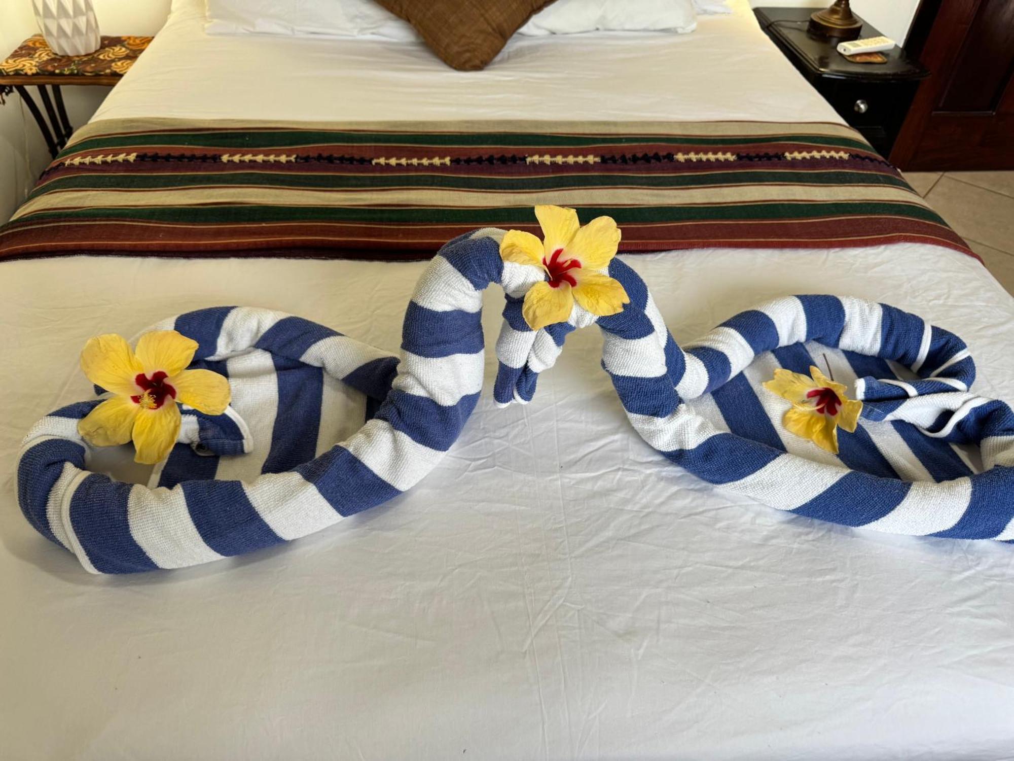 Caribbean Shores Belize Χόπκινς Εξωτερικό φωτογραφία